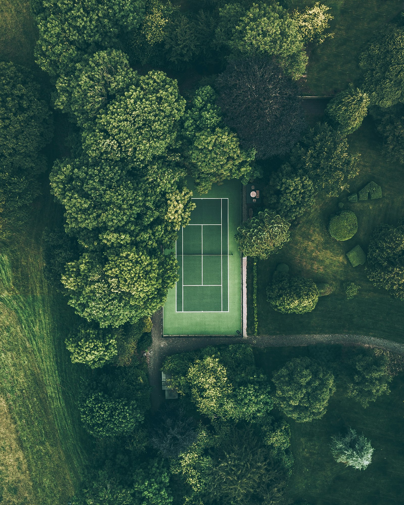 Tree-lined tennis court
